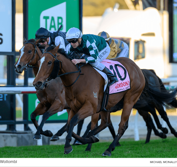 Wollombi Michael McInall