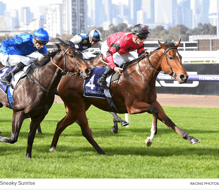 Sneaky Sunrise Racing Photo