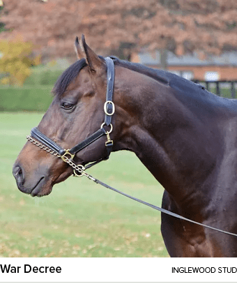War Decree inglewood stu