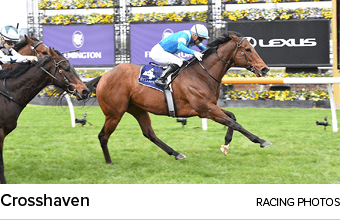 Crosshaven racing photo