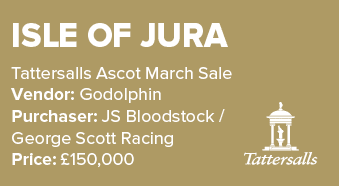 Isle Of Jura Tattersalls Ascot March Sale Vendor: Godolphin Purchaser: JS Bloodstock / George Scott Racing Price: £15...