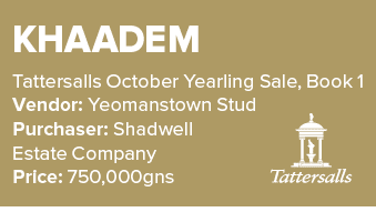 Khaadem Tattersalls October Yearling Sale, Book 1 Vendor: Yeomanstown Stud Purchaser: Shadwell Estate Company Price: ...