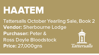 Haatem Tattersalls October Yearling Sale, Book 2 Vendor: Sherbourne Lodge Purchaser: Peter & Ross Doyle Bloodstock Pr...