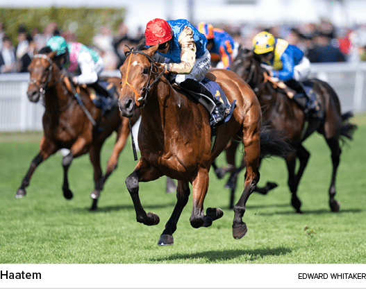 Haatem Edward Whitake