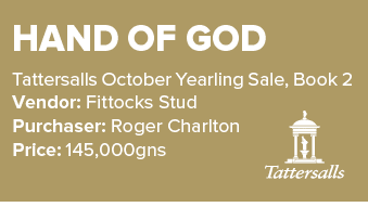Hand Of God Tattersalls October Yearling Sale, Book 2 Vendor: Fittocks Stud Purchaser: Roger Charlton Price: 145,000gn