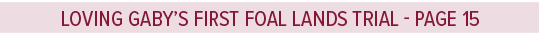 Loving Gaby’s first foal lands trial page 1