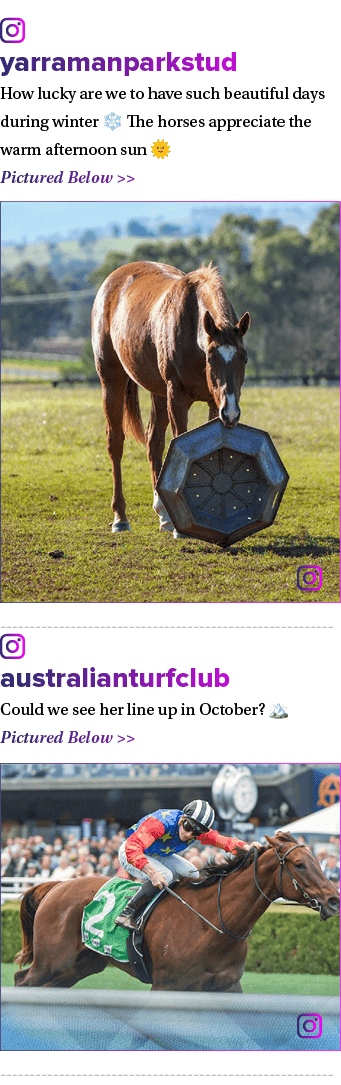 ￼ yarramanparkstud How lucky are we to have such beautiful days during winter ❄️ The horses appreciate the warm after...