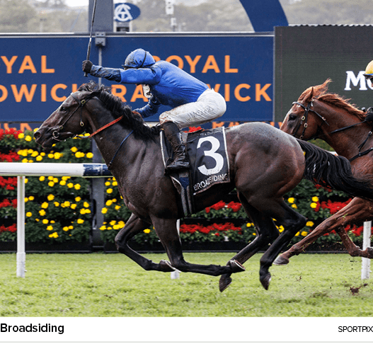 Broadsiding Sportpi