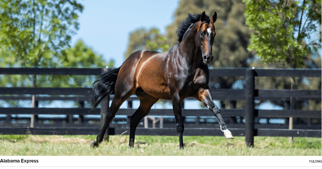 Alabama Express Yulon