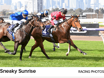 Sneaky Sunrise Racing Photo