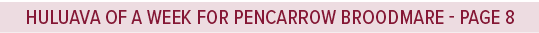 Huluava of a week for Pencarrow broodmare page 