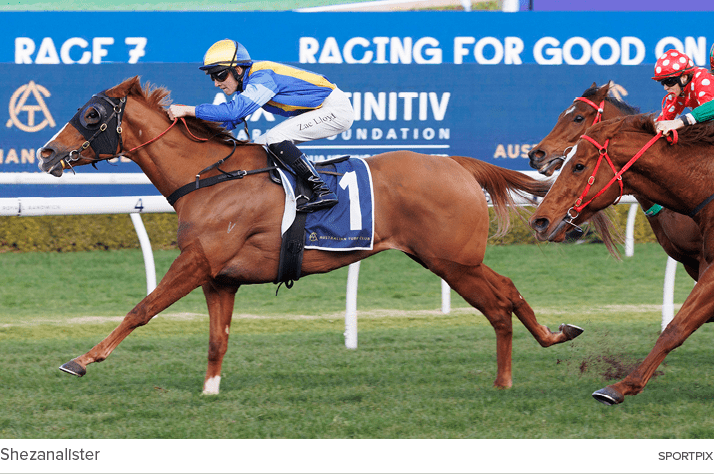 Shezanalister sportpi