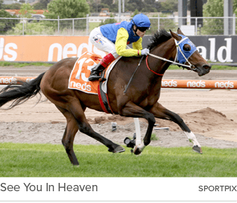 See You In Heaven sportpi