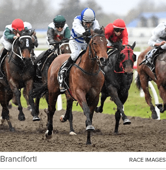 Branciforti Race Image