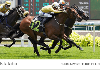 Istataba singapore turf clu