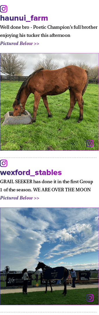 ￼ haunui_farm Well done bro Poetic Champion’s full brother enjoying his tucker this afternoon Pictured Below   ￼ ￼ w...