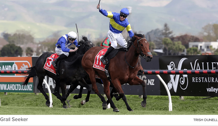 Grail Seeker Trish Dunel