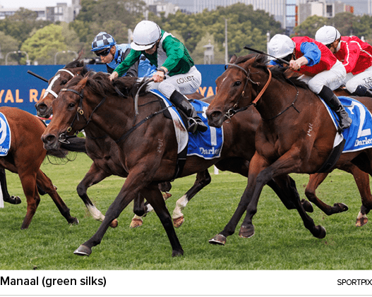 Manaal (green silks) sportpi