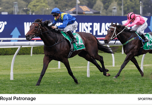 Royal Patronage sportpi