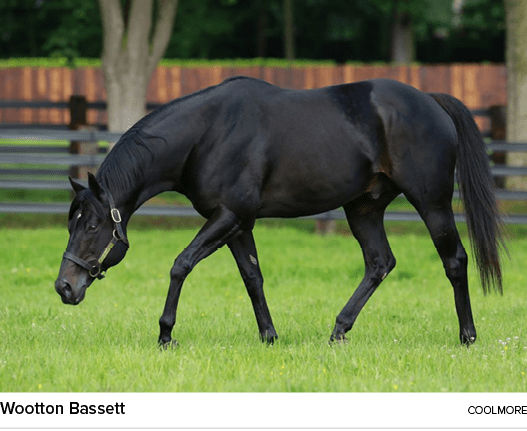 Wootton Bassett coolmor