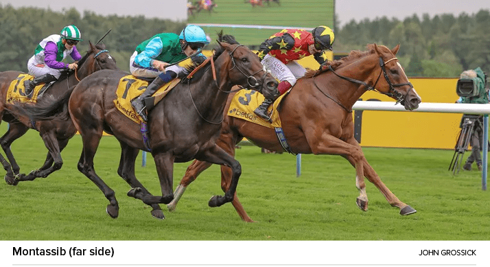 Montassib (far side) John Grossic