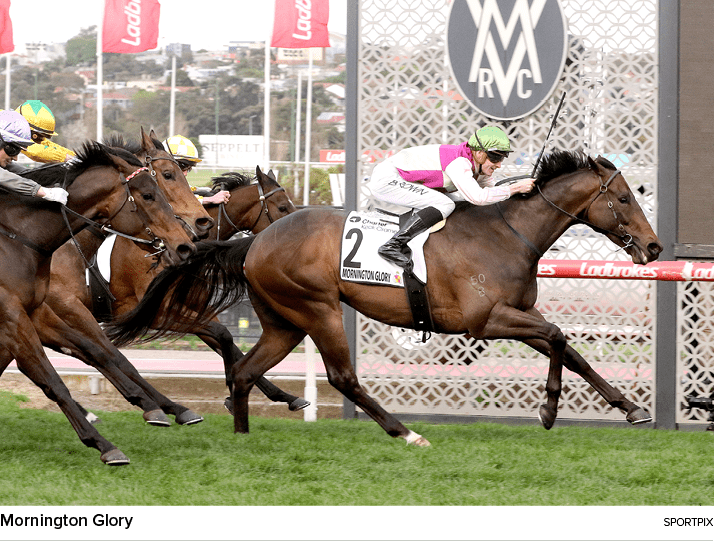 Mornington Glory sportpi