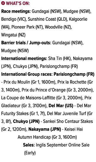 ￼ What's on: Race meetings: Gundagai (NSW), Mudgee (NSW), Bendigo (VIC), Sunshine Coast (QLD), Kalgoorlie (WA), Pione...