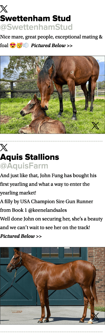 ￼ Swettenham Stud @SwettenhamStud Nice mare, great people, exceptional mating & foal 😍🥳💨 Pictured Below   ￼ ￼ Aqu...