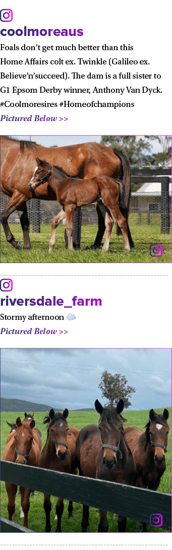 ￼ coolmoreaus Foals don’t get much better than this Home Affairs colt ex. Twinkle (Galileo ex. Believe’n’succeed). Th...