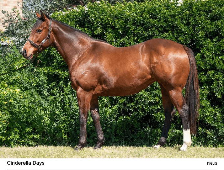 Cinderella Days ingli