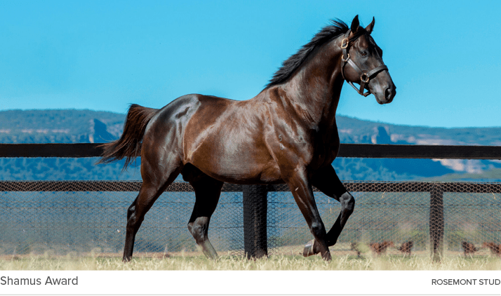 Shamus Award rosemont stu