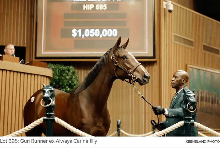 Lot 695: Gun Runner ex Always Carina filly Keeneland phot