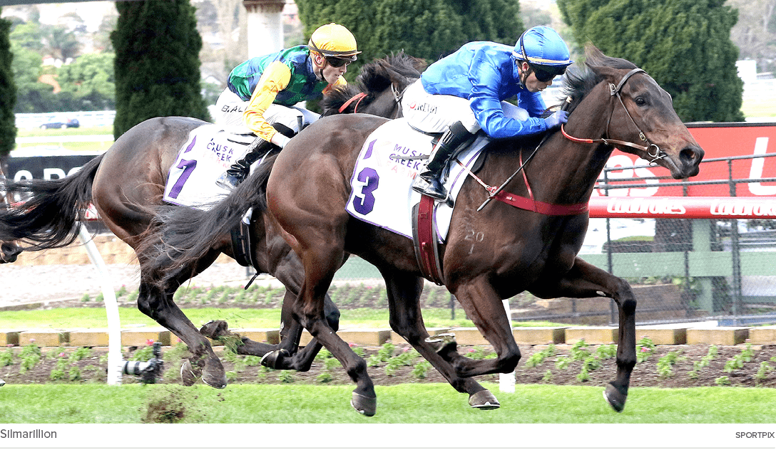 Silmarillion sportpi