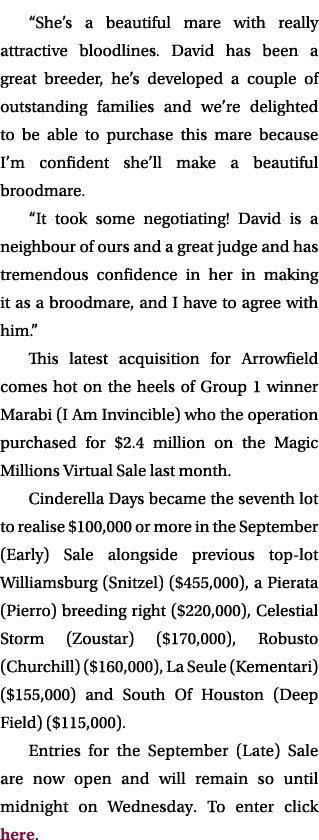 “She’s a beautiful mare with really attractive bloodlines. David has been a great breeder, he’s developed a couple of...