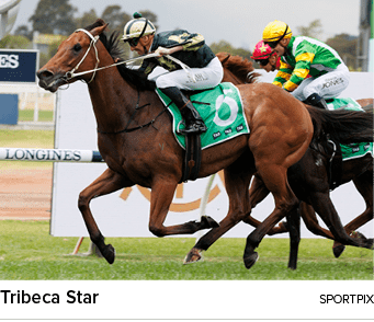 Tribeca Star sportpi