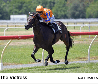 The Victress Race Image