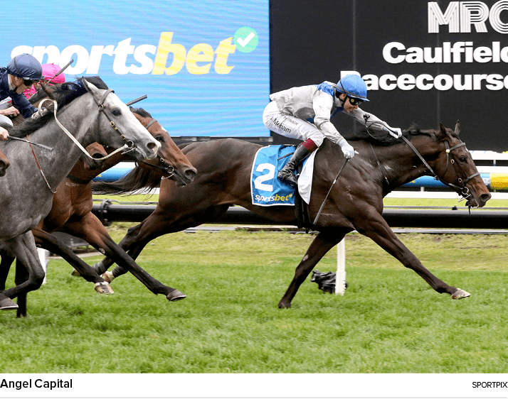 Angel Capital sportpi