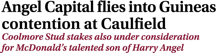 Angel Capital flies into Guineas contention at Caulfield Coolmore Stud stakes also under consideration for McDonald’s...