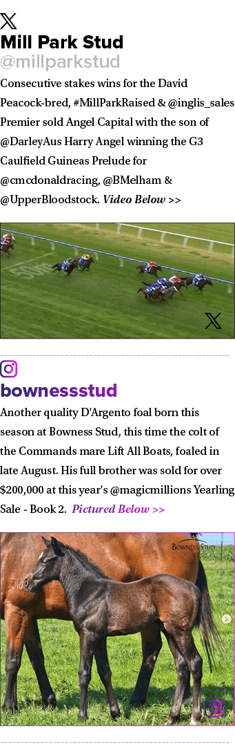 ￼ Mill Park Stud @millparkstud Consecutive stakes wins for the David Peacock bred, #MillParkRaised & @inglis_sales Pr...