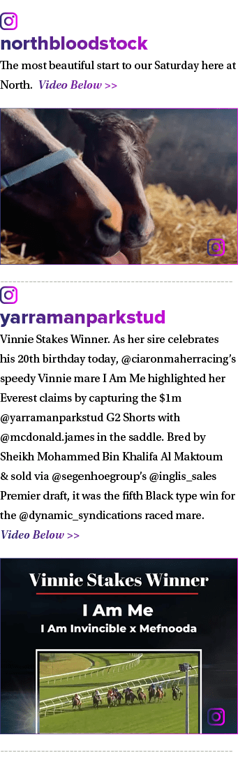 ￼ northbloodstock The most beautiful start to our Saturday here at North. Video Below   ￼ ￼ yarramanparkstud Vinnie ...