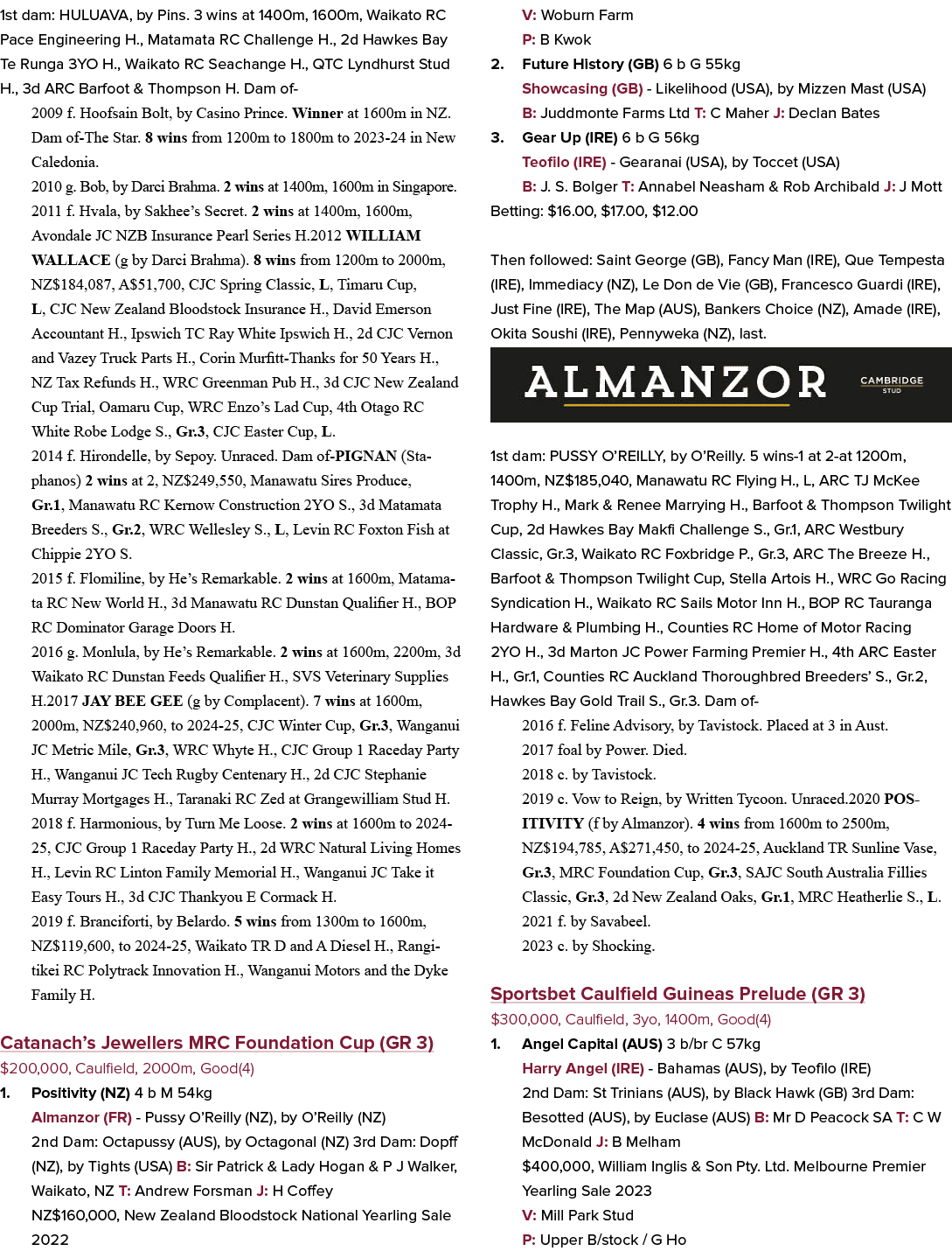 1st dam: HULUAVA, by Pins. 3 wins at 1400m, 1600m, Waikato RC Pace Engineering H., Matamata RC Challenge H., 2d Hawke...