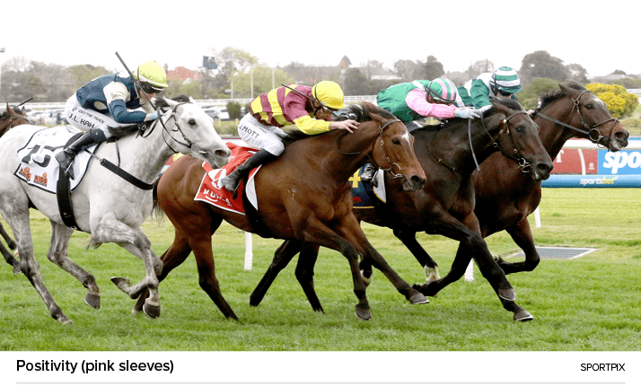 Positivity (pink sleeves) sportpi