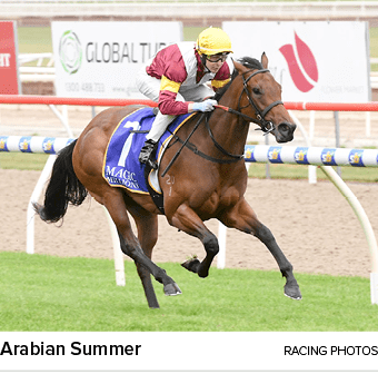 Arabian Summer racing photo