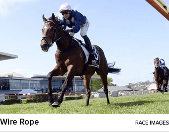 Wire Rope Race Image