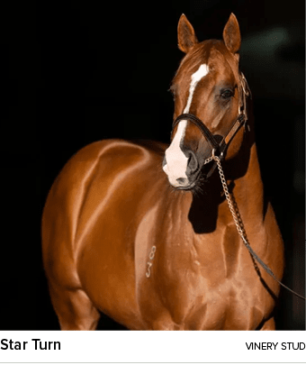 Star Turn vinery STU