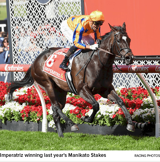 Imperatriz winning last year's Manikato Stakes racing photo