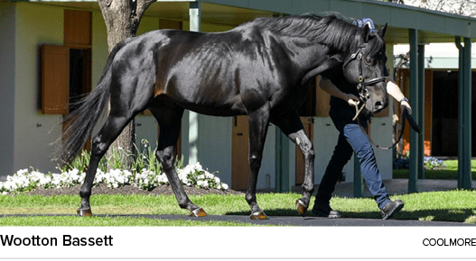 Wootton Bassett coolmor