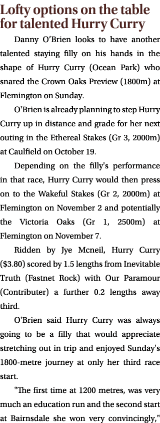 Lofty options on the table for talented Hurry Curry Danny O’Brien looks to have another talented staying filly on his...