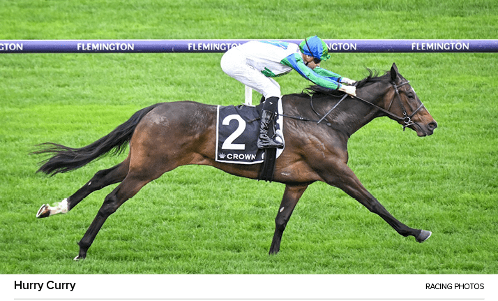 Hurry Curry racing photo