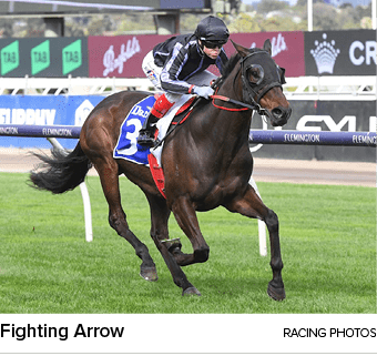 Fighting Arrow Racing Photo